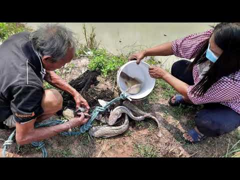 EP.3-พัฒนา-บ้านดอนนางคำ-ม.1-ต. EP.3-พัฒนา-บ้านดอนนางคำ-ม.1-ต.