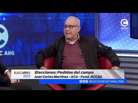 El comercio y las elecciones: análisis con Juan Carlos Martínez y José Viale