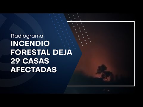 Incendio forestal en sector Laguna Verde de Valparaíso deja 29 casas afectadas por el fuego
