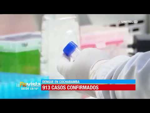 Cochabamba registra 913 casos de dengue, el Trópico es la zona más afectada