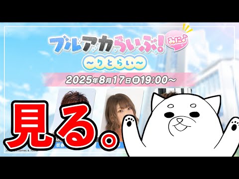 ブルアカらいぶ！みに♪ ～りとらい～を見るブルアカ。