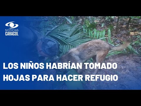 Detalles de la búsqueda de los niños desaparecidos tras accidente de avioneta en Caquetá