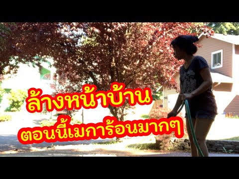 แม่บ้านอเมริกาล้างหน้าบ้าน-ร้อ แม่บ้านอเมริกาล้างหน้าบ้าน-ร้อ