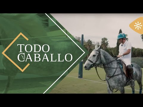TodoCaballo | Siente el hechizo del paisaje y la adrenalina como jugador de Polo