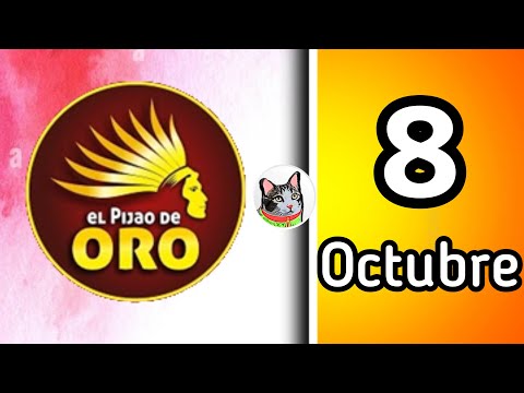 Resultado EL PIJAO DE ORO Martes 8 de Octubre de 2024