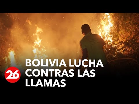 Sequía e incendios: Bolivia lucha contras las llamas |#26Global