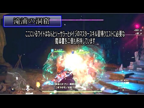 【ドグマ2】魔導書クエの魔導書が2個手に入る滝浦の洞窟ワイト戦 ジャヌア地下墓 瞬詠のリング 戦ってるのはメインキャラのアンルシア