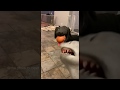 Launch Mini Player