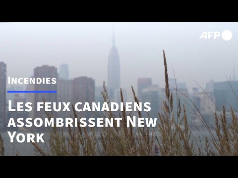 Canada: les feux toujours actifs, la fumée s’étend jusqu’à la côte est américaine | AFP