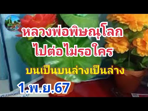 หลวงพ่อพิษณุโลกไปต่อไม่รอใครบน