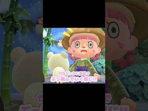 雪が溶けて茶色い地面こんにちは…?!?!#あつ森 #どうぶつの森 #あつまれどうぶつの森 #どう森 #shortvideo #shorts #short #たけのビックリばこ#はるのわかたけ