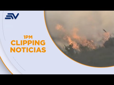 Reserva Ecológica Cotacachi Cayapas: Incendio consume más de mil hectáreas | Televistazo | Ecuavisa