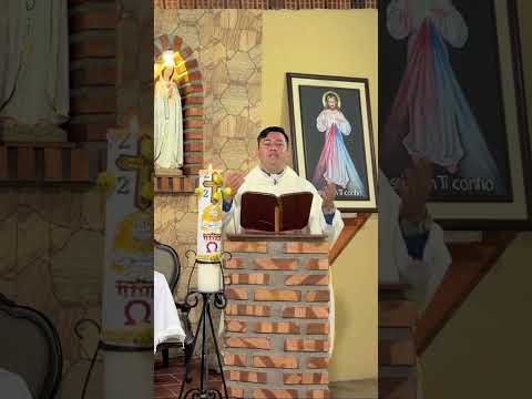 #EvangeliodeHoy #MisadeHoy Domingo 05 de Mayo de 2024 #Padre Ricardo Prato #Short