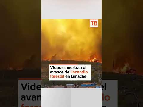 Los videos que muestran el avance del incendio forestal en Limache
