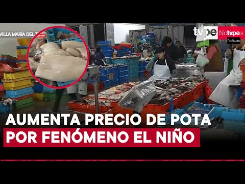 Aumenta el precio de la pota: se vende a S/22 en el Terminal Pesquero