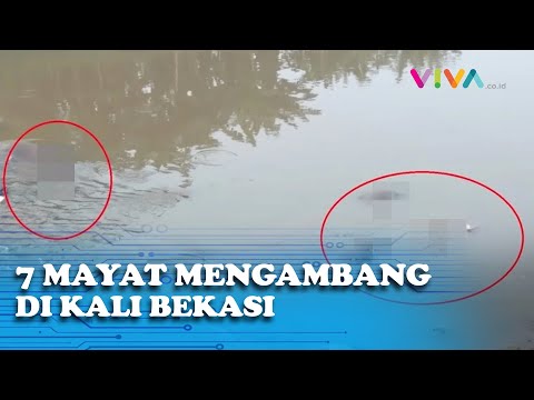 Penampakan 7 Mayat Mengambang di Kali Bekasi, Kok Bisa?