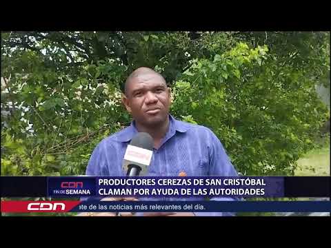 Productores de cerezas de San Cristóbal claman por ayuda de las autoridades