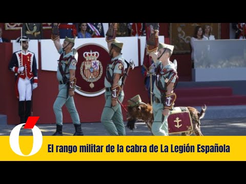 El rango militar de la cabra de La Legión Española y otras curiosidades que no sabes