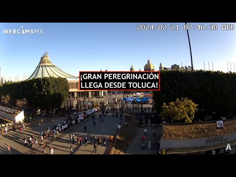 ? #BASILICA | ¡Gran PEREGRINACIÓN desde #Toluca pone ambiente bien temprano! La Basílica #EnVivo