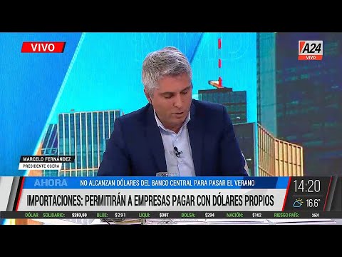 Importaciones: permitirán a empresas pagar con dólares propios I A24