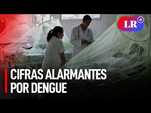 Epidemia de dengue en el Perú: más de 100 mil infectados