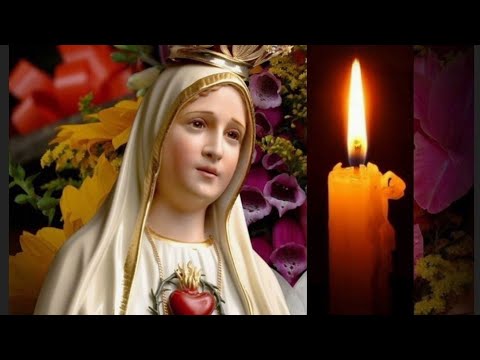 ? SANTO ROSARIO A NUESTRA SEÑORA DE FÁTIMA.  MISTERIOS GOZOSOS.  LUNES 3 DE JUNIO 2024 ?