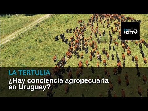 ¿Hay conciencia agropecuaria en Uruguay?