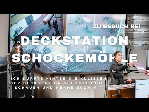 Einblicke in die Deckstation Schockemöhle – Absamung & Hengstwahl für meine Stute Emma 🐴❤️