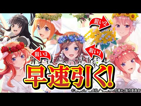 【オセロニア】コラボガチャを引いて早速試し打ちする！シーズンマッチ配信 #1064