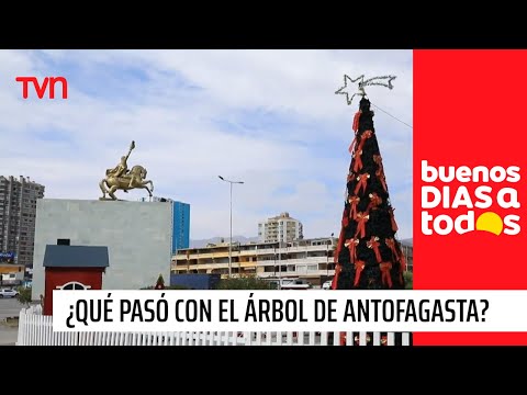 ¿Qué pasó con el típico árbol navideño en Antofagasta? | Buenos días a todos