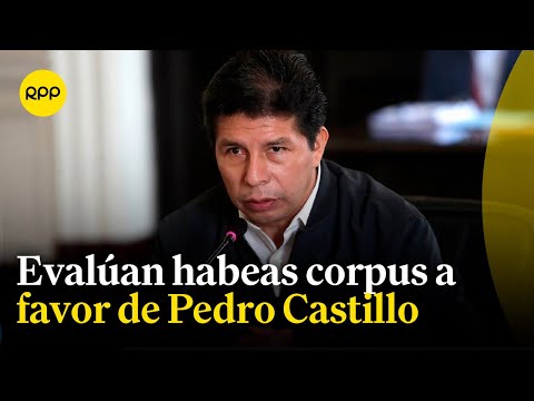 Pedro Castillo: Tribunal Constitucional evalúa habeas corpus a su favor