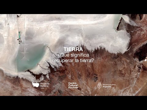 Día de la Tierra | Proyecto Ballena: Acciones y pensamiento para un futuro mejor