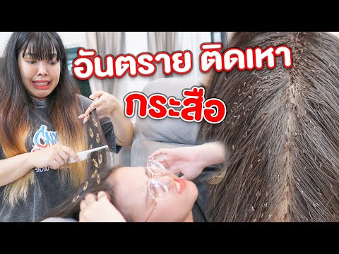 แย่แล้ว-พี่สาว-ติดเหา-กระสือ-เ แย่แล้ว-พี่สาว-ติดเหา-กระสือ-เ