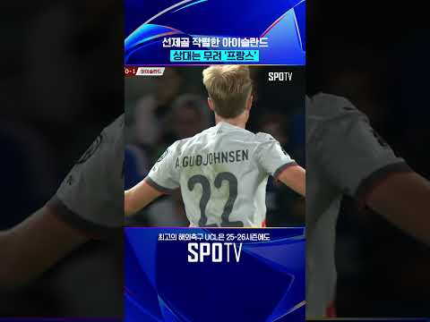 프랑스의 실수를 놓치지 않은 아이슬란드 