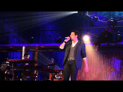 Patrick Bruel - Combien de murs (Bercy, 22.06.2013)