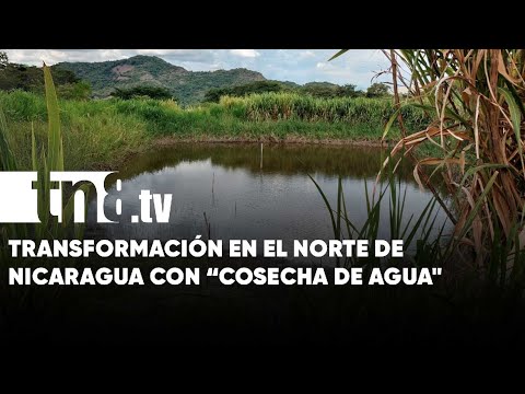 Cosecha de Agua: Transformando la vida en el Norte de Nicaragua