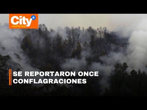 Balance de emergencias por incendios forestales en Bogotá | CityTv