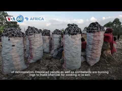 VOA60 Africa - UN warns of unprecedented levels of deforestation in DR Congo's North Kivu province