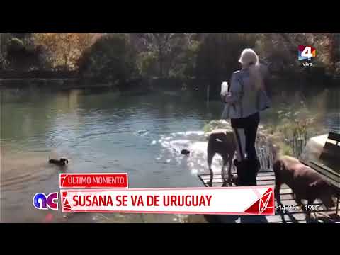 Algo Contigo - Susana Giménez se va de Uruguay: los detalles de su vuelta a Buenos Aires