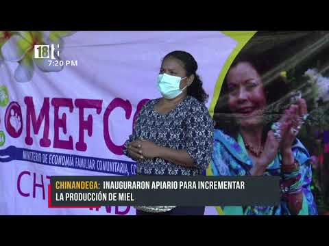 Apicultores en Chinandega reciben acompañamiento del MEFCCA - Nicaragua