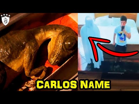 Carlos Name Encuentra Un Dinosaurio