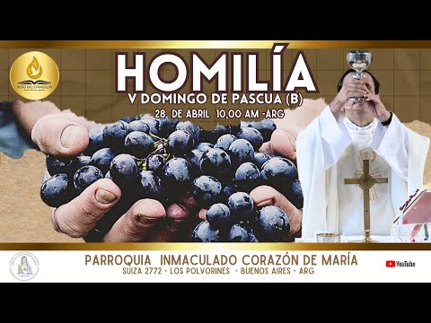Homilía - Permanecer siempre en Jesús, Él permanece en nosotros P. Rodrigo Aguilar