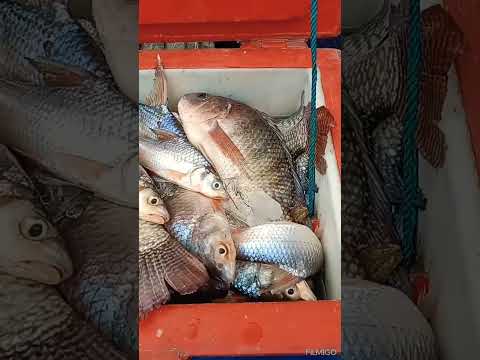 โคตรคุ้มบัตร200บาทนครสวรรค์