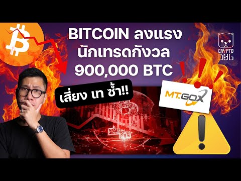 Crypto Dog ข่าวคริปโตระวัง!อีก900,000BITCOINเตรียมเทBTC200EMAไหวไหมลงหน