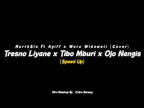 Tresno Liyane x Tibo Mburi x Ojo Nangis - NorthSle Ft Agiff x Woro Widowati (Cover) - CIDRO BARENG🎧