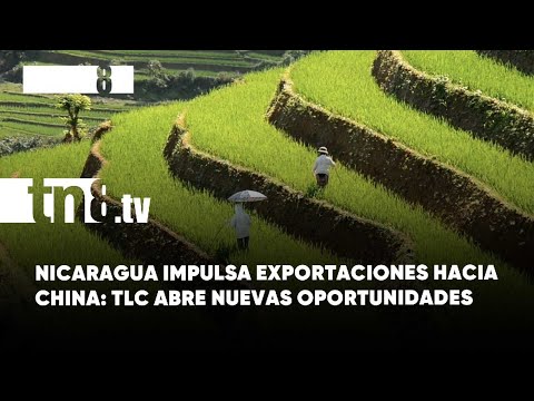 TLC: Nicaragua avanza en la expansión de sus exportaciones hacia China