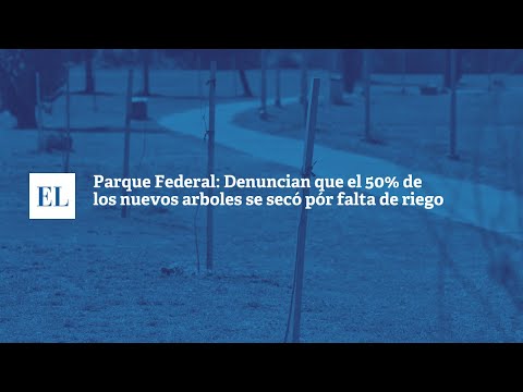 PARQUE FEDERAL: DENUNCIAN QUE EL 50% DE LOS NUEVOS ARBOLES SE SECÓ POR FALTA DE RIEGO