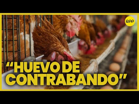 Bloqueos en Perú: “Pedimos cita con la ministra de Agricultura, hasta ahora esperando la llamada”