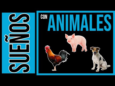Sueños Con Animales | Significado y Numerología Sortaria