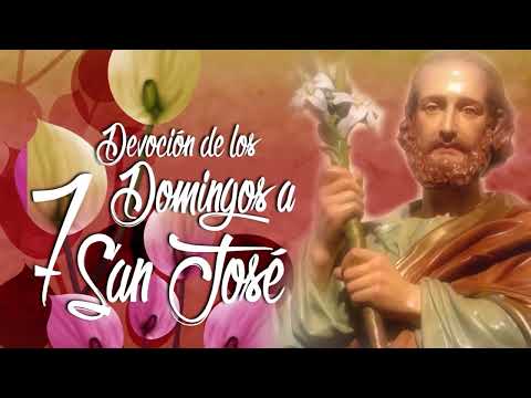 Desde este Domingo, hasta el 4 de febrero reza con nosotros la devoción de los 7 Domingos a San José